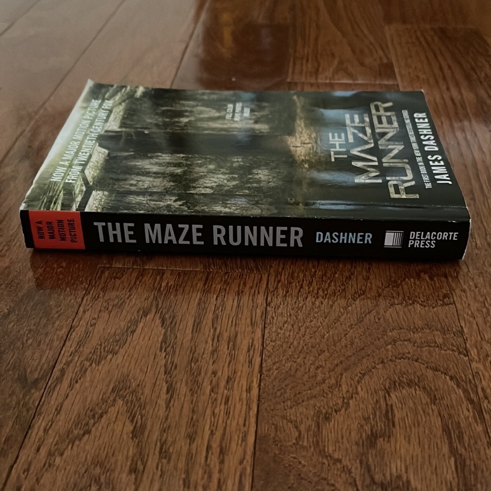 Maze Runner - Picture 2 of 4